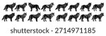 wolf silhouettes illustration isolated on white background 