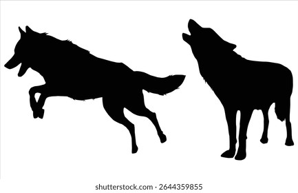  Wolf Silhouettes on White Background 