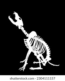 Wolf skeleton vector silhouette illustration isolated on black background. Predator fossil symbol in museum of science and biology. Canis lupus sign shape. Dog skeleton silhouette.