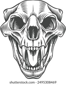 Vector de cabeza de calavera de lobo dibujado a mano ilustración de boceto