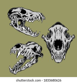 wolf skull illustration pack for commercial use