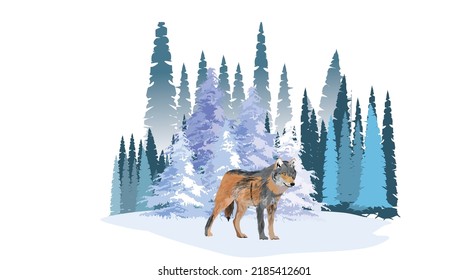 Wolf stand in the winter snowy northern forest vector