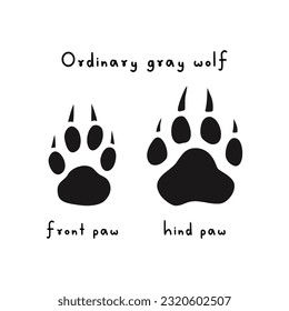 Wolf tracks. Drawing of wolf paw print. Trail of predator's front and hind paws. Wild animal. Wolf footprint imprint icon. Printing on clothes, logo design. Symbol, trace icons. Vector illustration