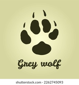 Wolf tracks. A wolf paw print. Gray wolf trail. Wildlife, hunting.