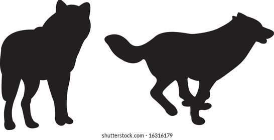 wolf, vector