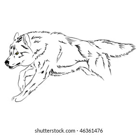 wolf vector