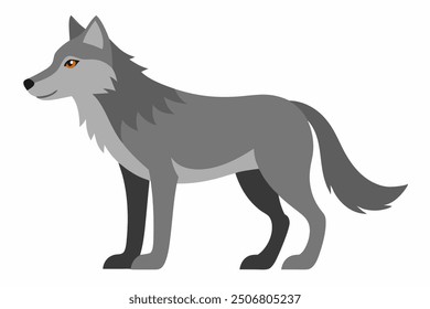 A Wolf vector art illustration