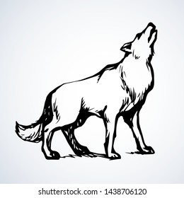 Wolf. Vector drawing icon sign