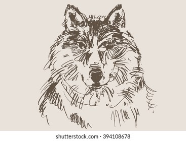 wolf vector, hand draw sketch 