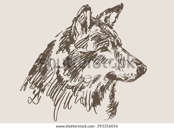 Wolf Vector Hand Draw Sketch Stock Vector Royalty Free