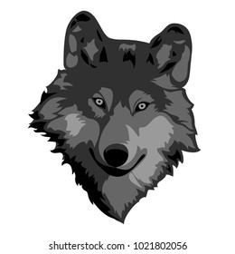 Wolf. Vector illustration.