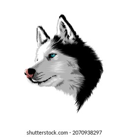 Wolf vector illustration abstract design