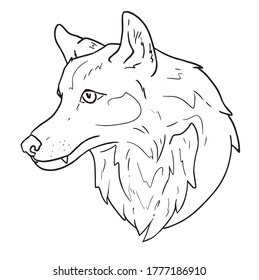 Wolf vector illustration, animal sketch.