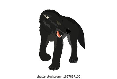 Ilustración vectorial de lobo aislada en blanco