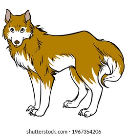 ilustración del vector del lobo,
aislado en fondo blanco.vista superior