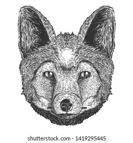 WOLF VECTOR LINE BLACK ARTWORK 