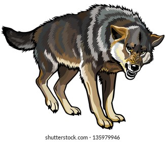 wolf vector,aggressive pose,picture isolated on white background