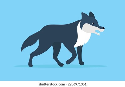 Wolf walking with open mouth, side view