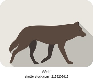 Wolf walking or running on the ground   vector illustration