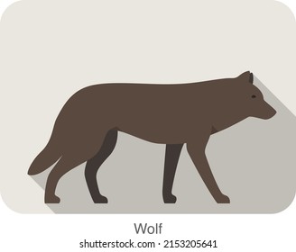 Wolf walking or running on the ground, vector illustration