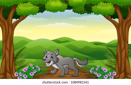 The wolf walking in way of forest hills