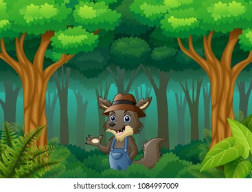 The wolf walking in way of forest hills