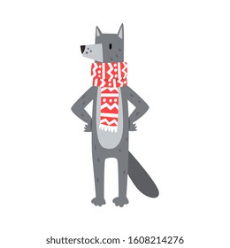 Wolf Wearing Scarf, Humanized Forest Animal Character in Winter Clothes Cartoon Vector illustration