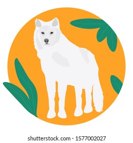 Wolf white - round icon - isolated on a white background - vector. 