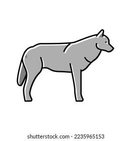 wolf wild animal color icon vector. wolf wild animal sign. isolated symbol illustration