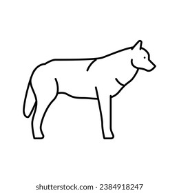 wolf wild animal line icon vector. wolf wild animal sign. isolated contour symbol black illustration