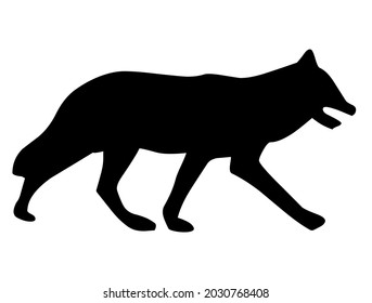 Wolf, wild animal living in forest, wildlife, predator, mammal, vector, illustration in black and white color, isolated on white background   