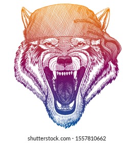 Wolf. Wild pirate or biker. Vector animal portrait. Sailor, motorcyclist. Print for children clothing, tee. Kids fashion.