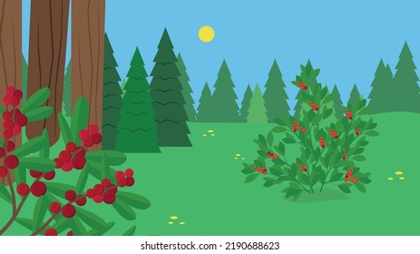 wolfberry bushes in the forest