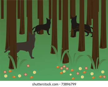 wolfes into the forest