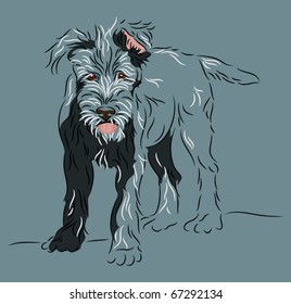 Wolfhound puppy standing