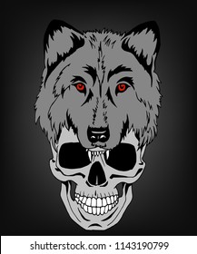 The wolf`s head is clad in a human skull