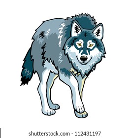  wolf,vector picture,standing forest predator,front view image isolated on white background