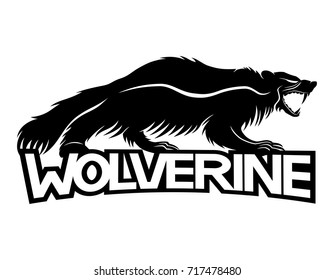 Wolverine Animal.