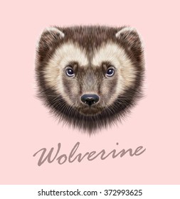 Wolverine Animal Images Stock Photos Vectors Shutterstock