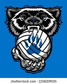 wolverine mascot biting volleyball for school, college or league sports
