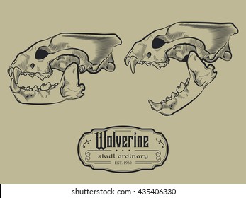 Wolverine Skull Engraving Style Etching Label