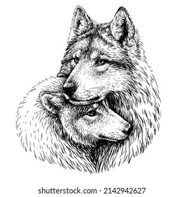 wolf love drawing