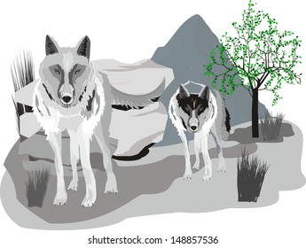 Wolves couple