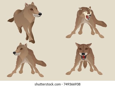 Wolves Different Poses Vector Set Isolated Stock Vector (Royalty Free ...