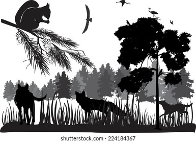 Wolves Forest Illustration Stock Vector (Royalty Free) 224184367 ...