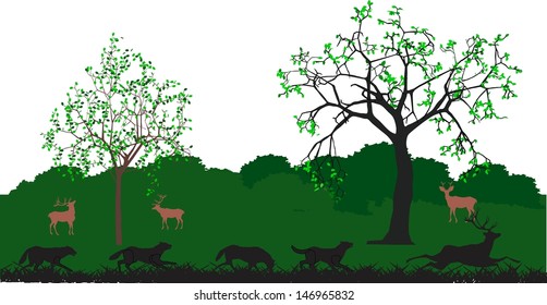 Wolves hunting