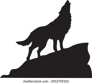 Wolves live in packs of 2-15 individuals