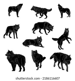 lobos establecen ilustración vectorial de dibujo manual aislada en fondo blanco