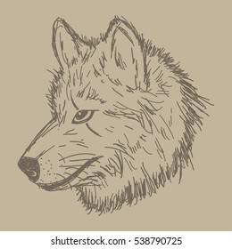 Wolves sketch illustration. Wild animal head, Fox, Wolf illustration. Hand drawn vector illustration