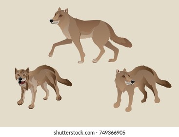 Wolves Vector Set Isolated Illustration Stock Vector (Royalty Free ...